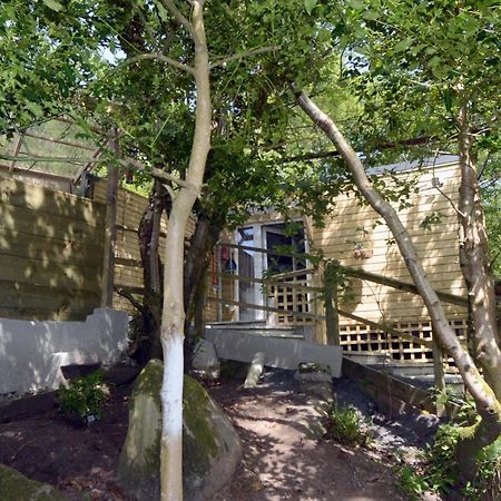 Tawny Lodge Westport Esterno foto