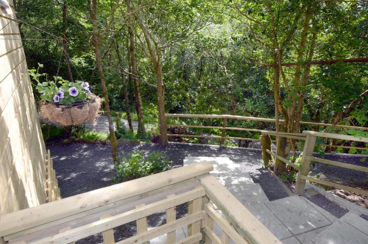 Tawny Lodge Westport Esterno foto