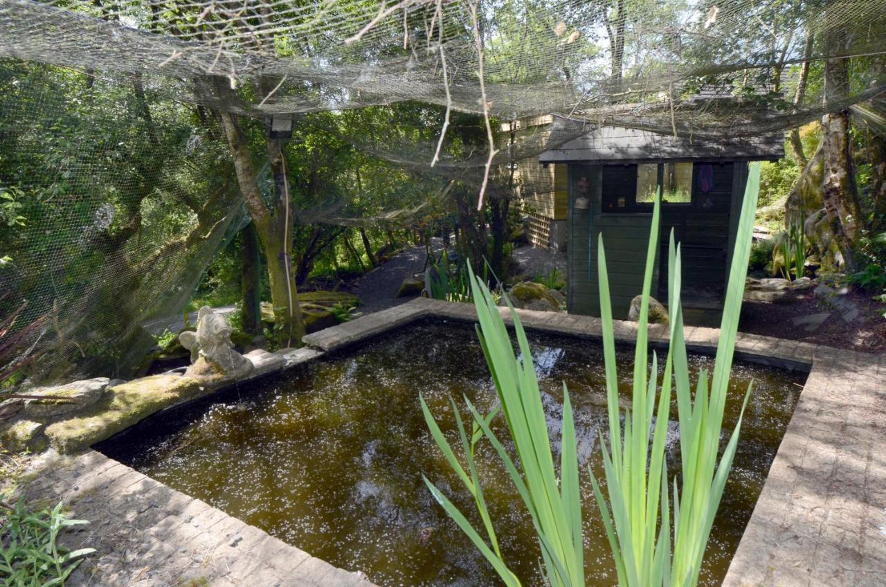 Tawny Lodge Westport Esterno foto