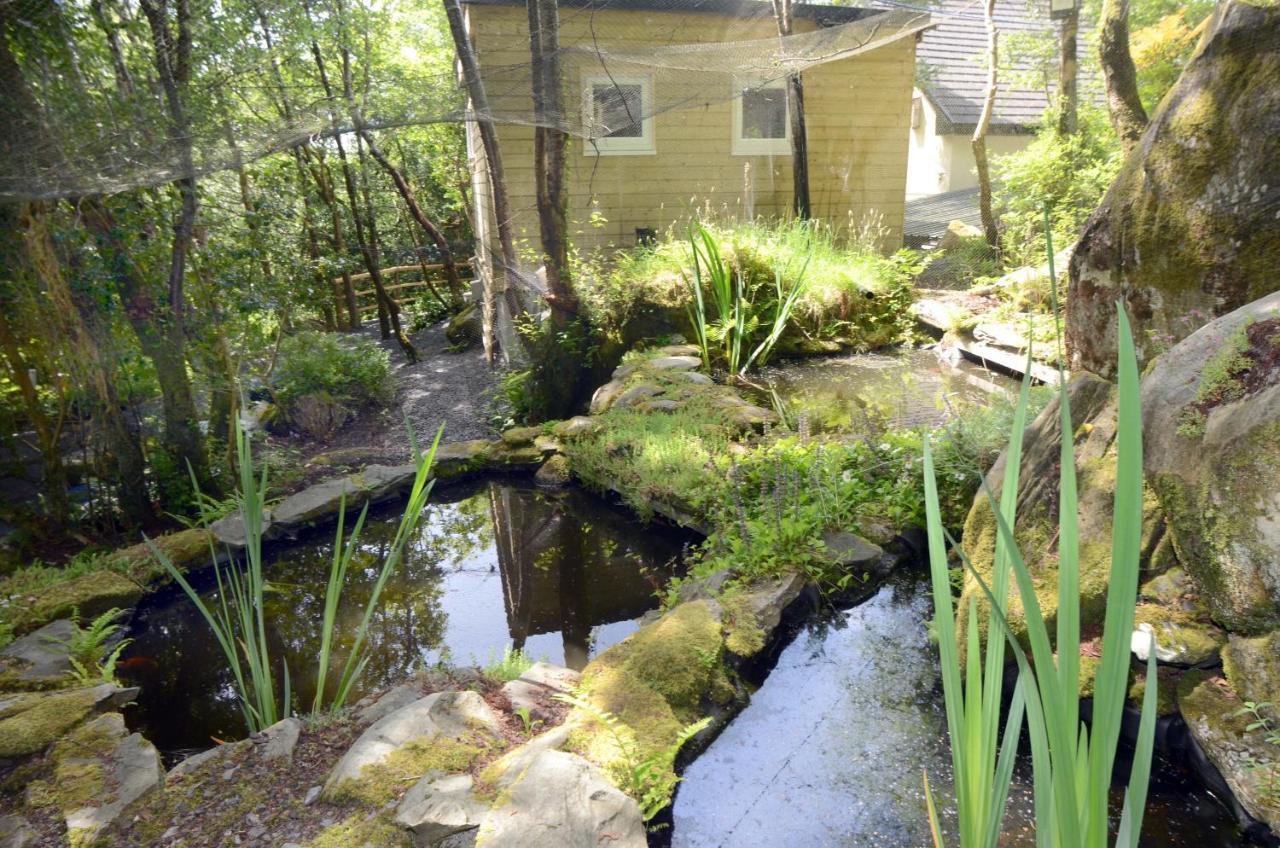 Tawny Lodge Westport Esterno foto