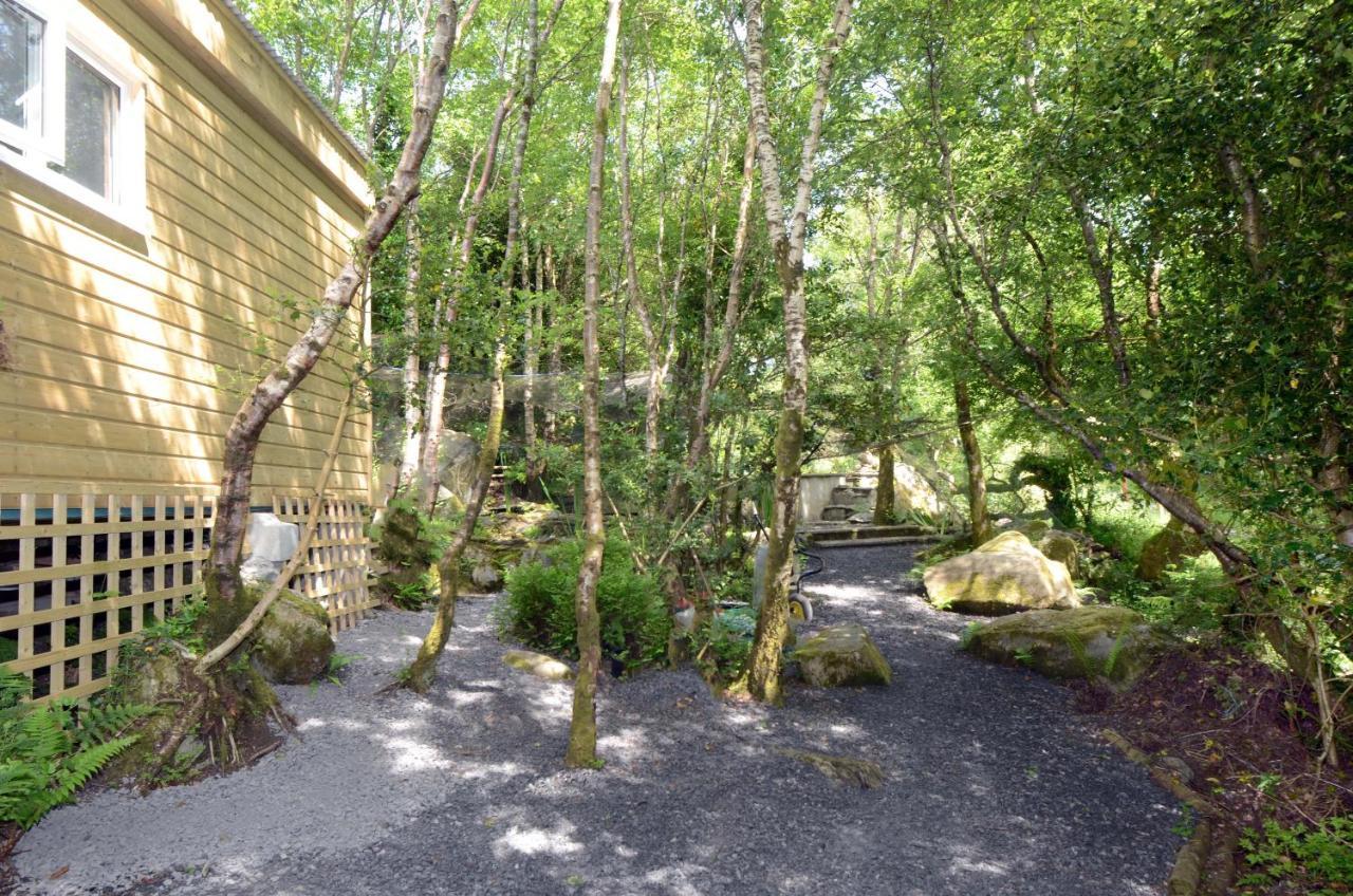 Tawny Lodge Westport Esterno foto