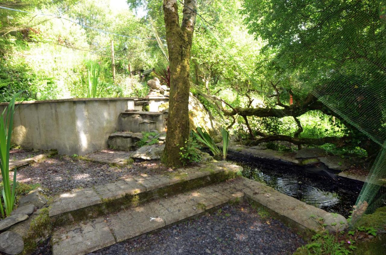 Tawny Lodge Westport Esterno foto